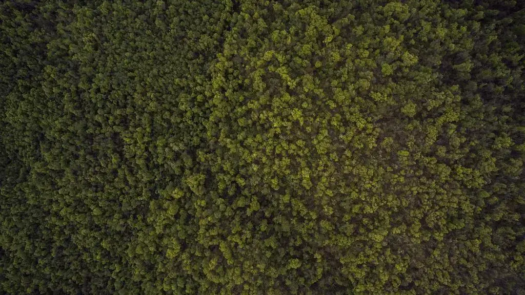 Cele mai bune picturi de frumusețe ale lunii