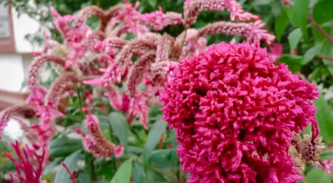 Confuzia cu îngrijirea buzelor: descoperirea cauzei surprinzătoare a buzelor arsă de soare