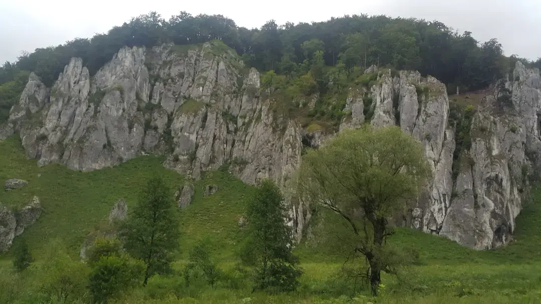 Cum să-ți creezi un colț de machiaj elegant în dormitor