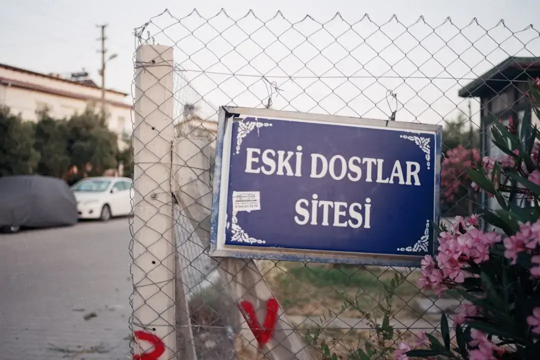 Esenţiale pentru stilul de vară: cele mai bune selecţii ale unui editor de cumpărături