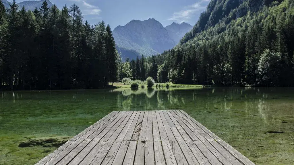 Bonpoint lansează o colecție inspirată de Monet, în parteneriat cu MoMA