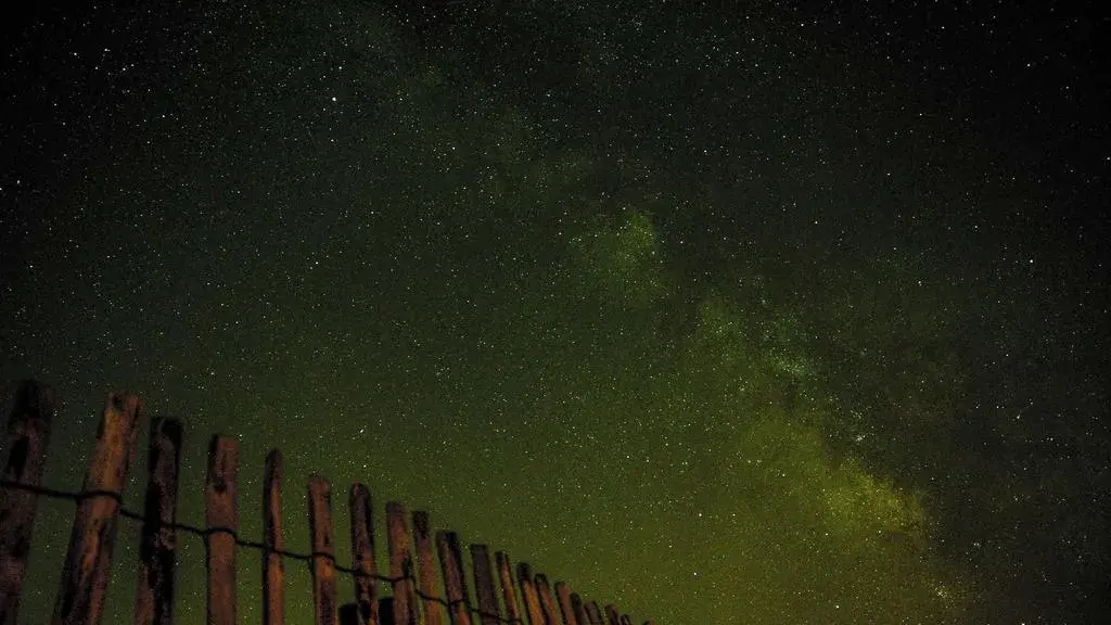 Chignon-ul de jos: dovada că simplitatea poate fi specială