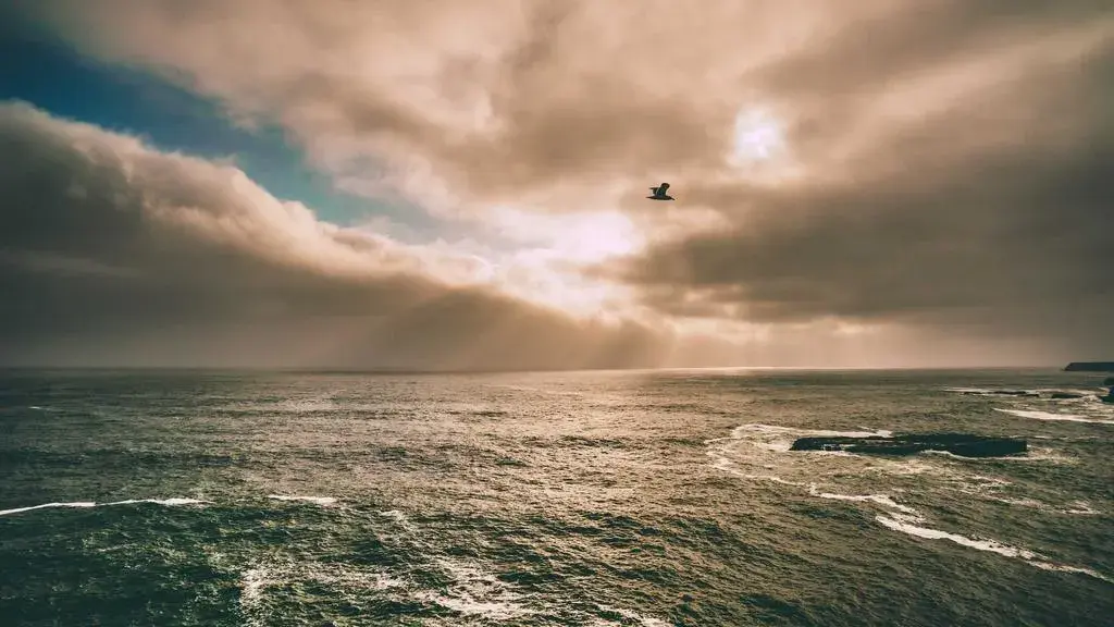 Parfumul semnat de Kate Middleton, acum la reducere la Nordstrom